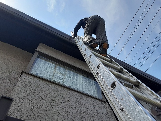 梯子を登ります